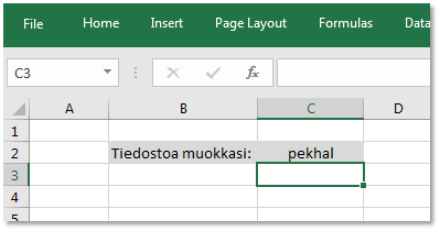Funktion tuottama profiilinimi työkirjassa